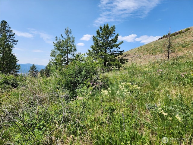 0 Roundabout Rd, Tonasket, WA 98859