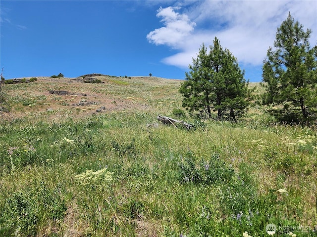 0 Roundabout Rd, Tonasket, WA 98859
