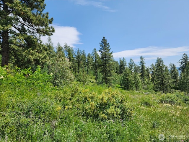 0 Roundabout Rd, Tonasket, WA 98859