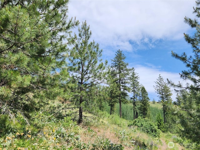 0 Roundabout Rd, Tonasket, WA 98859