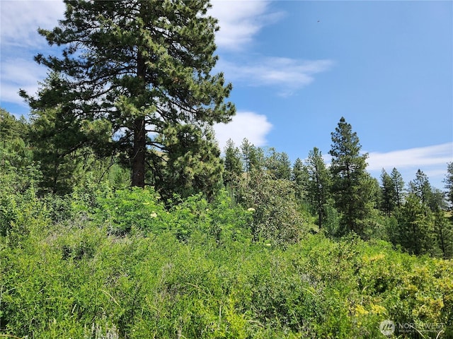 0 Roundabout Rd, Tonasket, WA 98859