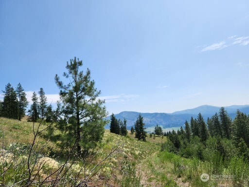 0 Roundabout Rd, Tonasket, WA 98859