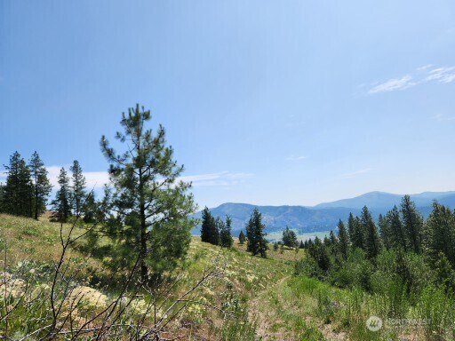 0 Roundabout Rd, Tonasket, WA 98859 - photo 12