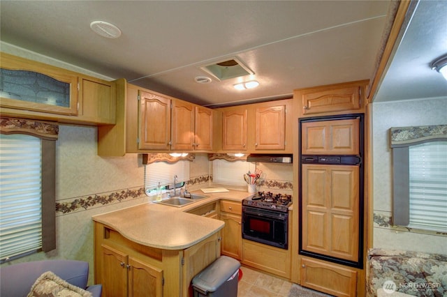 44664 Similk Trl, Concrete, WA 98237 - kitchen with gas stove, light countertops, under cabinet range hood, glass insert cabinets, and a peninsula
