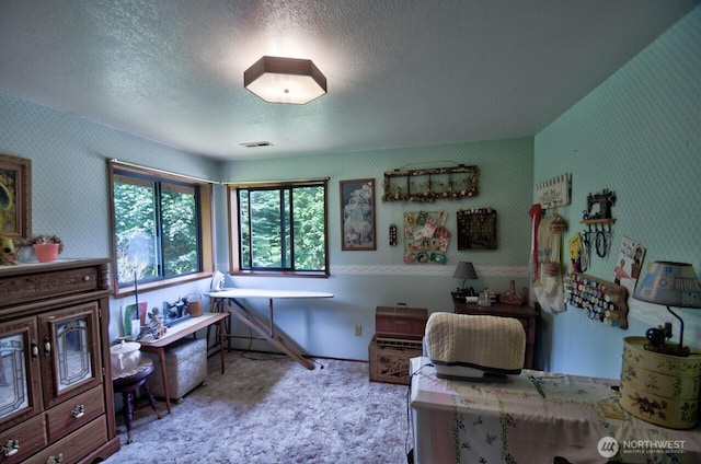 13273 W Cloquallum Rd, Elma, WA 98541 - home office featuring wallpapered walls, a textured ceiling, and carpet flooring