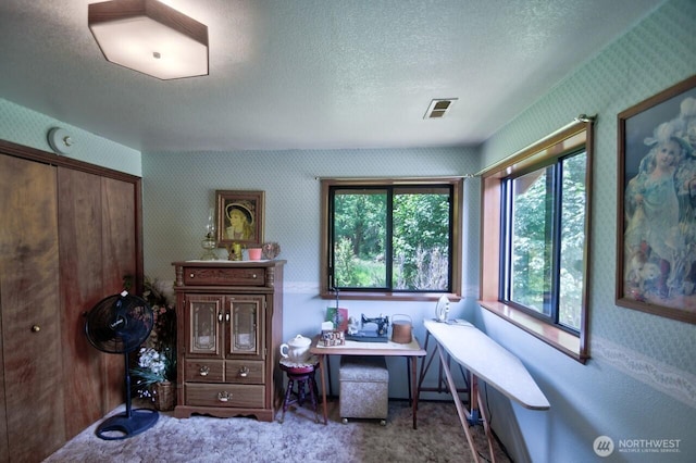 13273 W Cloquallum Rd, Elma, WA 98541 - carpeted office space featuring wallpapered walls, plenty of natural light, and a textured ceiling