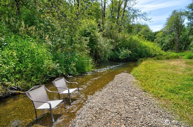 13273 W Cloquallum Rd, Elma, WA 98541 - view of community