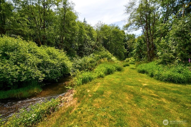 13273 W Cloquallum Rd, Elma, WA 98541 - view of nature
