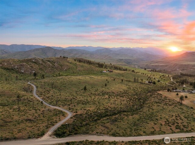 767 Bill Shaw Rd, Pateros, WA 98846 - view of mountain background with rural landscape