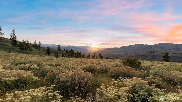 767 Bill Shaw Rd, Pateros, WA 98846 - view of mountain background