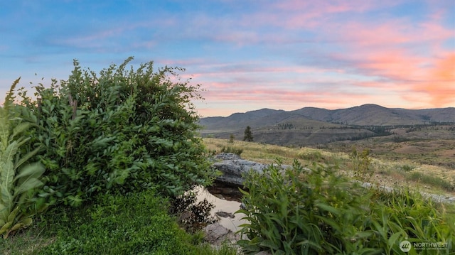 767 Bill Shaw Rd, Pateros, WA 98846 - view of mountain background