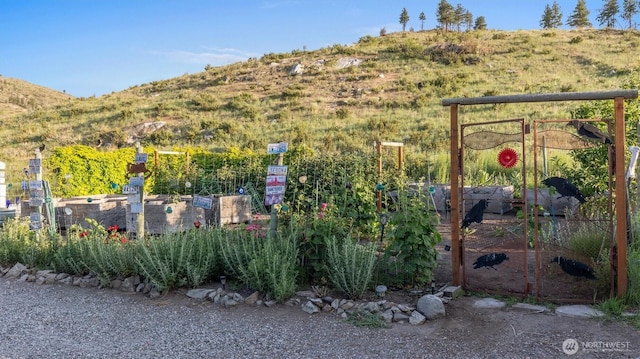 767 Bill Shaw Rd, Pateros, WA 98846 - view of home's community with a mountain view