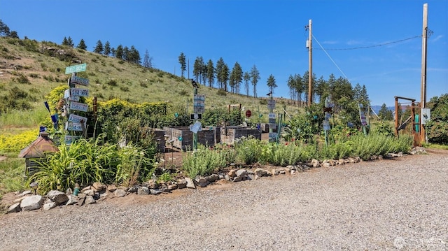 767 Bill Shaw Rd, Pateros, WA 98846 - view of yard
