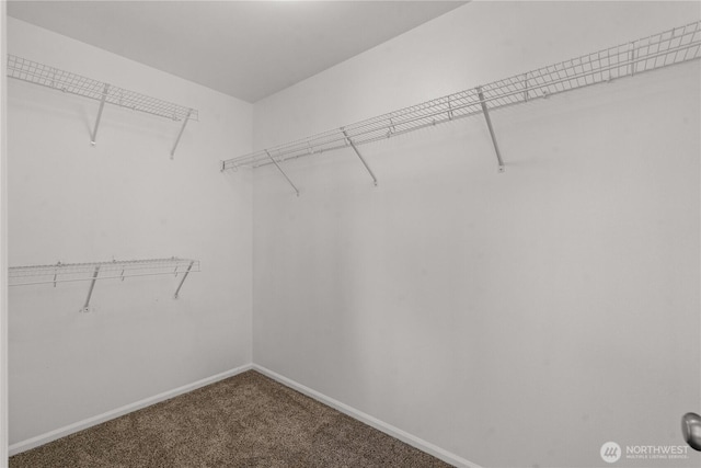 18328 73rd Avenue Ct E, Puyallup, WA 98375 - walk in closet with carpet floors