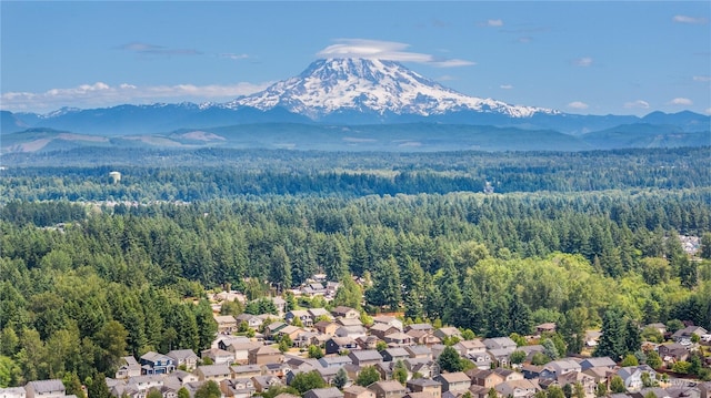 18328 73rd Avenue Ct E, Puyallup, WA 98375 - view of mountain backdrop with nearby suburban area