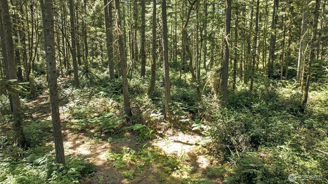 6206 90th St NW, Gig Harbor, WA 98332