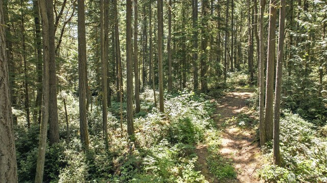 6206 90th St NW, Gig Harbor, WA 98332