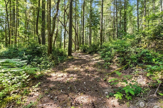 6206 90th St NW, Gig Harbor, WA 98332