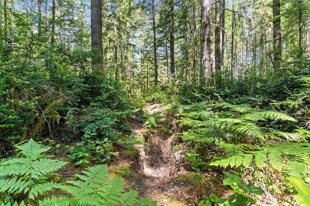 6206 90th St NW, Gig Harbor, WA 98332