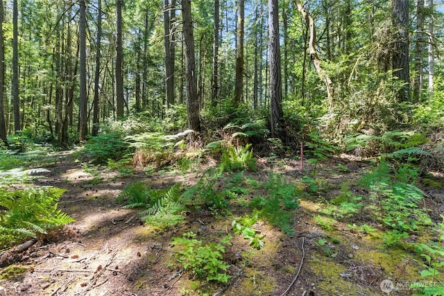 6206 90th St NW, Gig Harbor, WA 98332