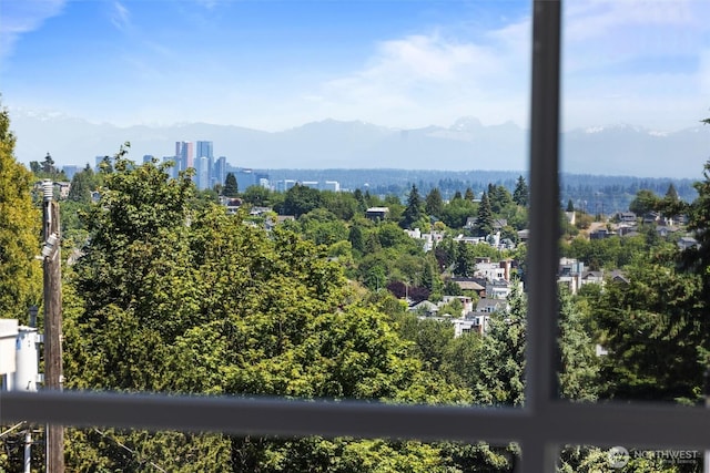 1313 14th Ave S Unit B, Seattle, WA 98144 - view of mountain background