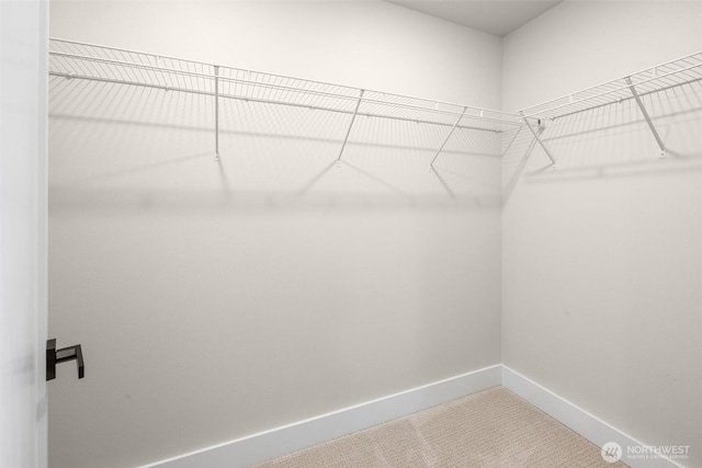 1313 14th Ave S Unit B, Seattle, WA 98144 - walk in closet featuring carpet floors