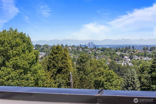 1313 14th Ave S Unit B, Seattle, WA 98144 - view of mountain background