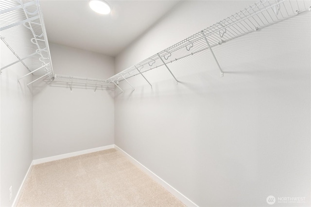 13936 178th St E Unit 85, Puyallup, WA 98374 - walk in closet featuring light carpet