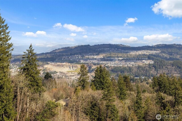 2599 NW Si View Ln, Issaquah, WA 98027 - photo 18