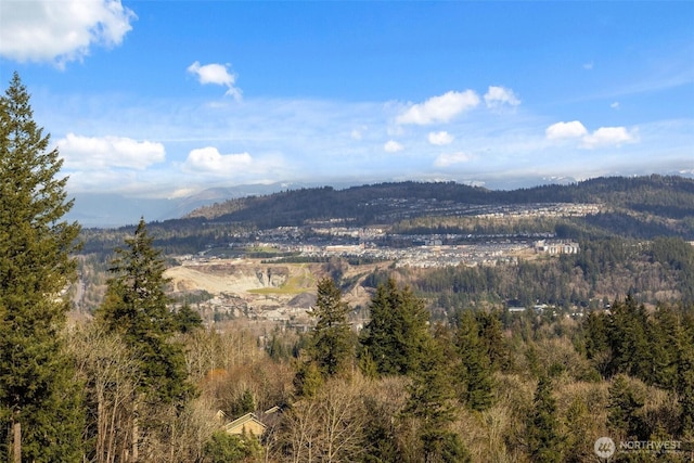 2599 NW Si View Ln, Issaquah, WA 98027 - photo 35