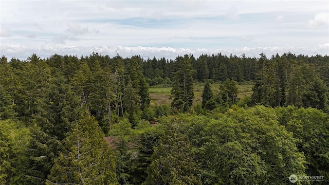 32216 T Pl, Ocean Park, WA 98640 - photo 28