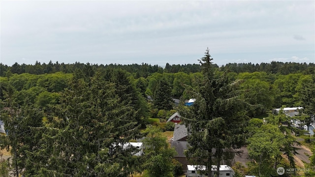 32216 T Pl, Ocean Park, WA 98640 - photo 29