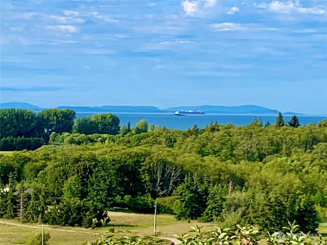 771 Brigadoon Blvd, Sequim, WA 98382 - mountain view featuring a large body of water