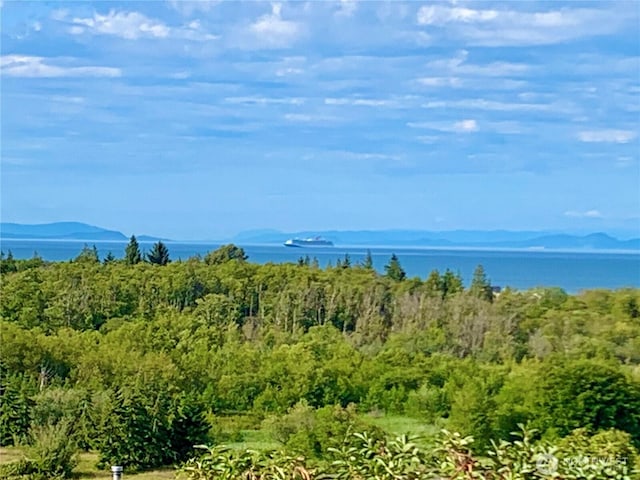 771 Brigadoon Blvd, Sequim, WA 98382 - water view with a mountain backdrop and a heavily wooded area
