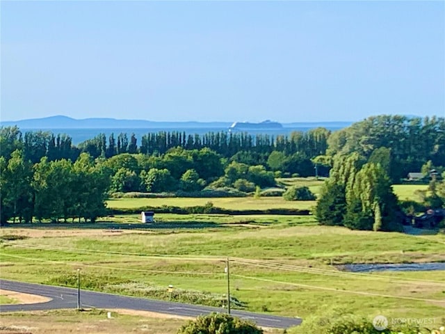 771 Brigadoon Blvd, Sequim, WA 98382 - mountain view