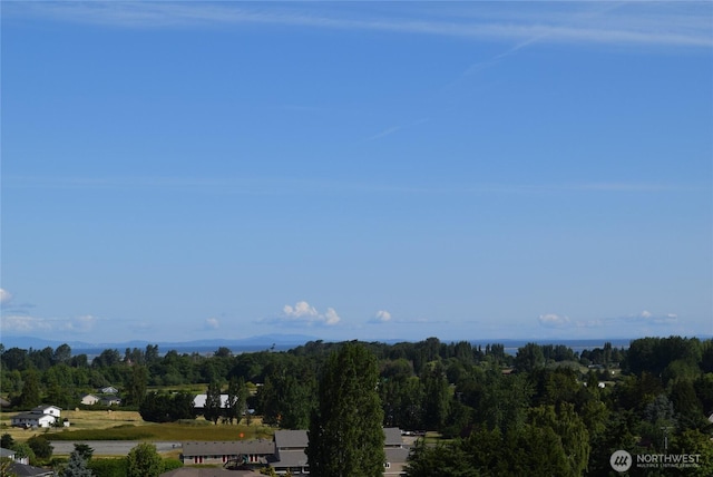 771 Brigadoon Blvd, Sequim, WA 98382 - view of mountain background with a forest