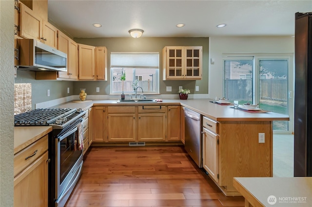 4101 Alabaster St SE, Lacey, WA 98503 - kitchen with stainless steel appliances, a peninsula, wood finished floors, light countertops, and recessed lighting