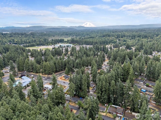 19031 SE 266th St, Covington, WA 98042 - view of property location featuring a forest and mountains