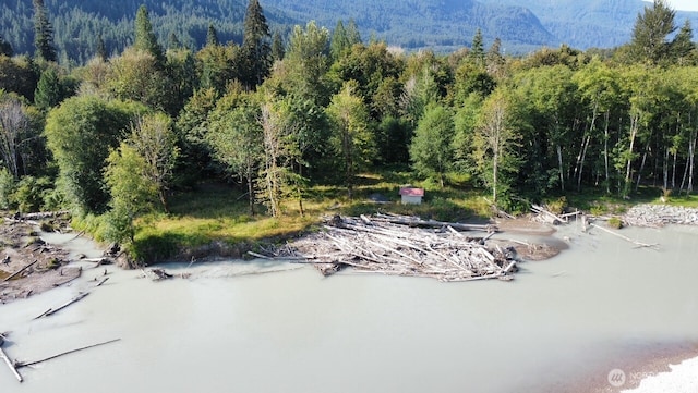 182 Burton Creek Rd, Randle, WA 98377 - photo 19