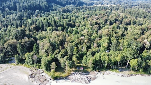 182 Burton Creek Rd, Randle, WA 98377 - photo 23