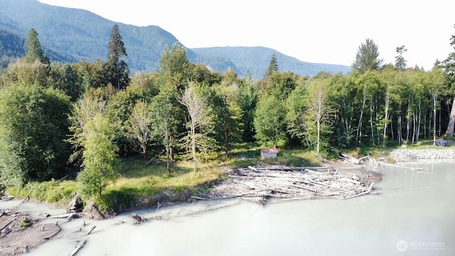 182 Burton Creek Rd, Randle, WA 98377 - photo 26