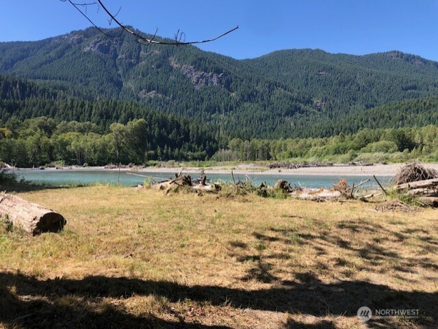 182 Burton Creek Rd, Randle, WA 98377 - photo 1