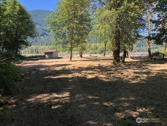 182 Burton Creek Rd, Randle, WA 98377 - photo 3