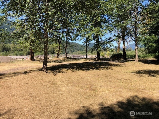 182 Burton Creek Rd, Randle, WA 98377 - photo 6