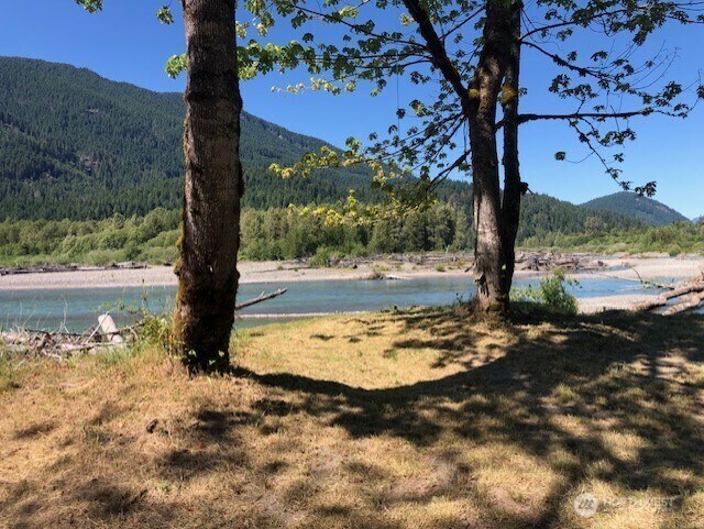 182 Burton Creek Rd, Randle, WA 98377 - photo 8