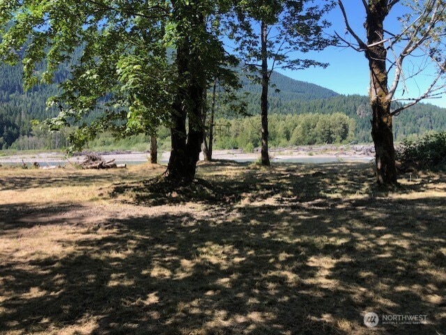 182 Burton Creek Rd, Randle, WA 98377 - photo 9