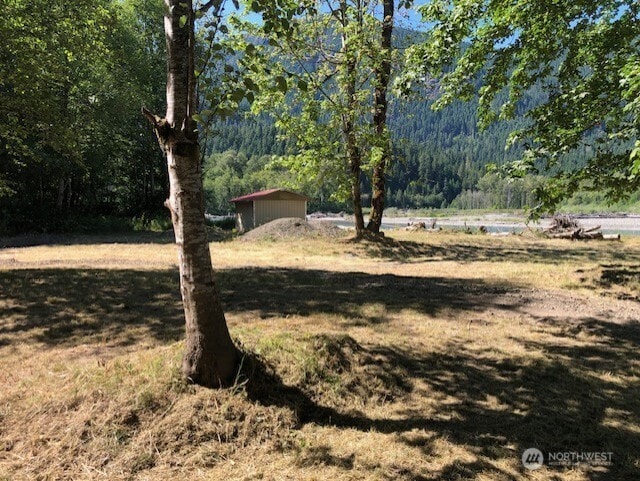 182 Burton Creek Rd, Randle, WA 98377 - photo 10