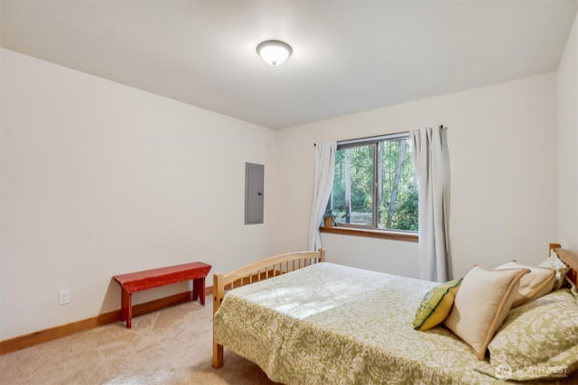 11211 Juniper Pl, Anderson Island, WA 98303 - bedroom featuring light colored carpet and electric panel