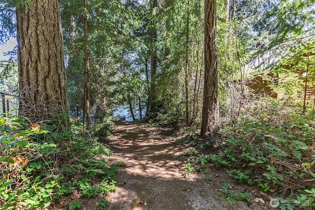11211 Juniper Pl, Anderson Island, WA 98303 - view of undeveloped land