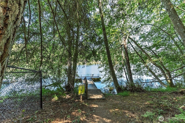 11211 Juniper Pl, Anderson Island, WA 98303 - dock area with a water view